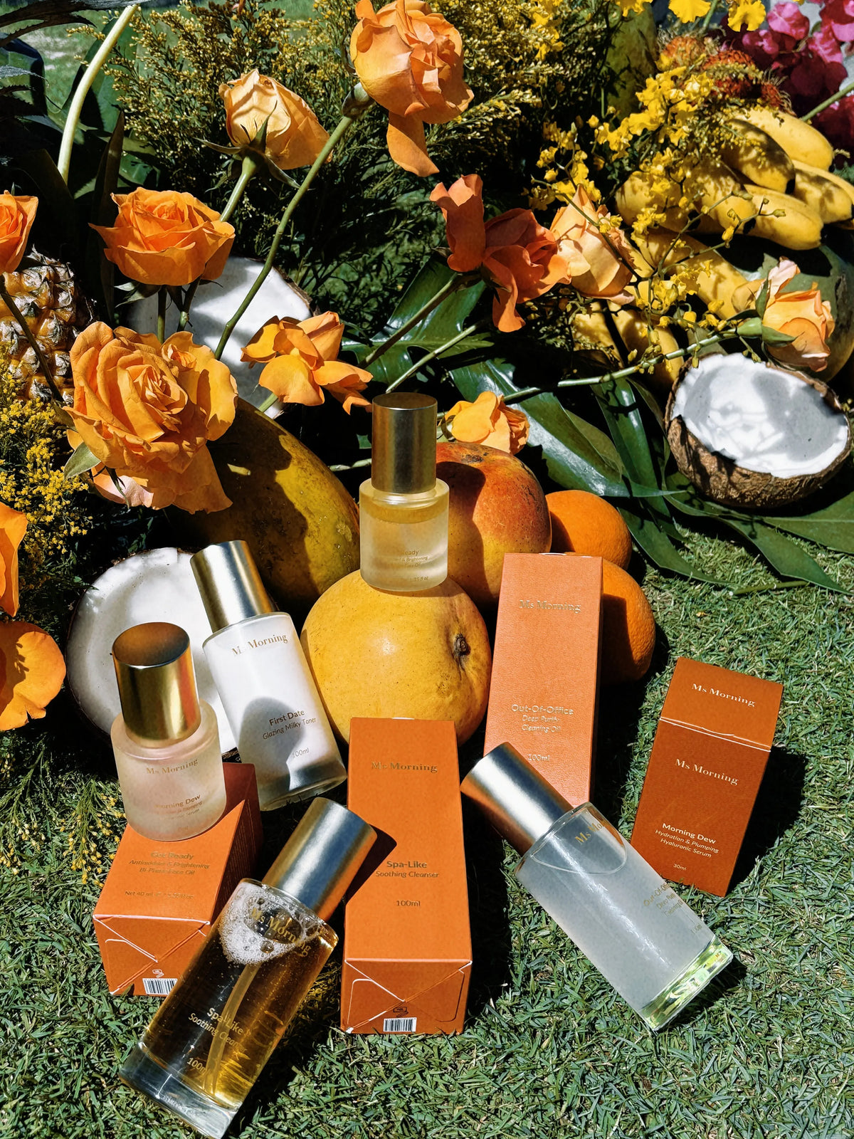 All-Products Ms Morning