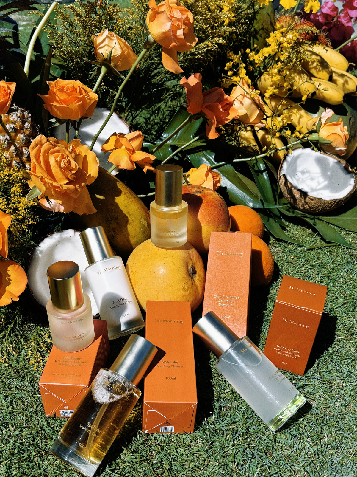 All Products