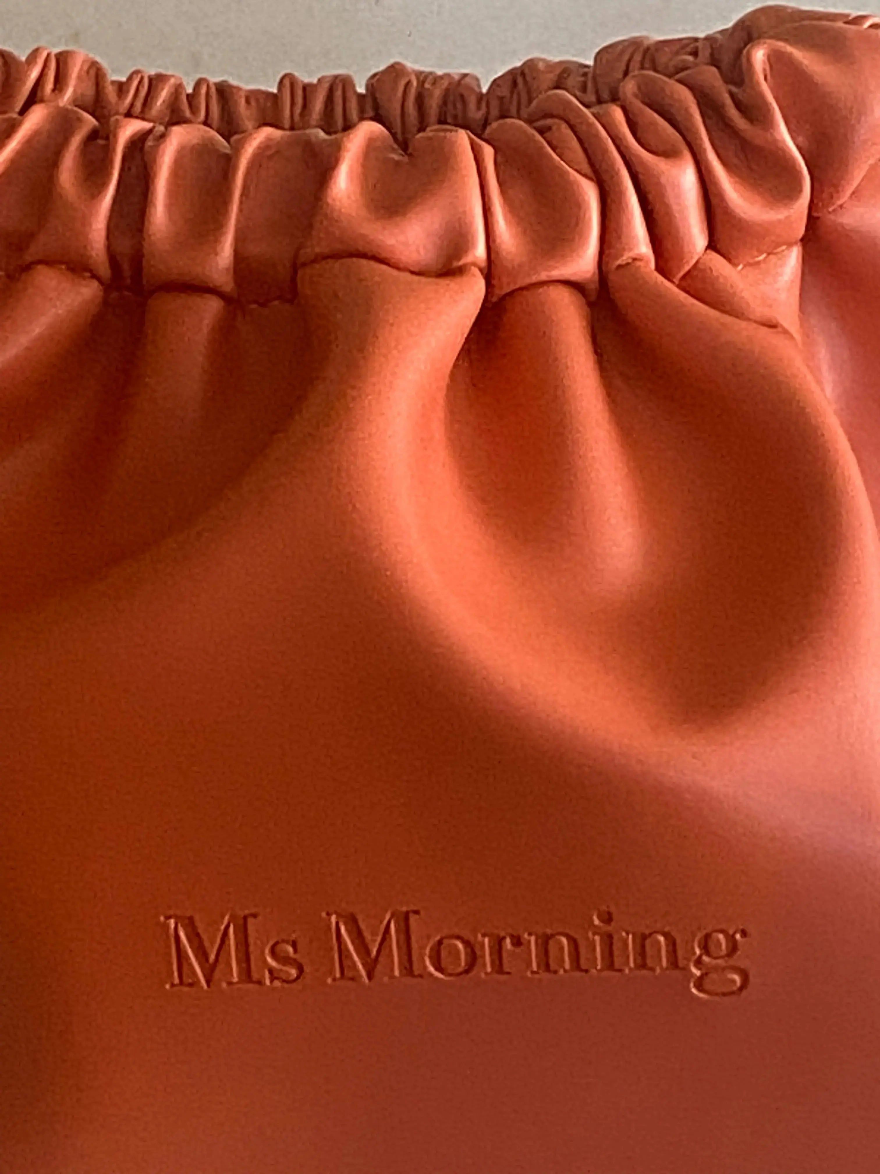 Double Ponytail Pouch Ms Morning