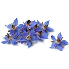 Borage Seed Oil